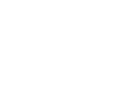 Contábil Leão